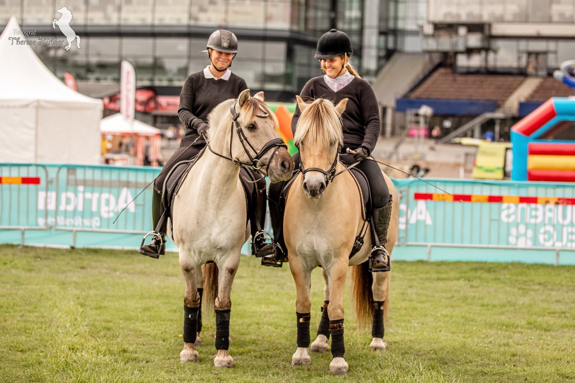 Hyra häst Taffsnäs